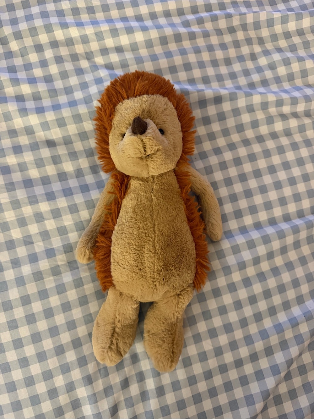 Jellycat Hedgehog
